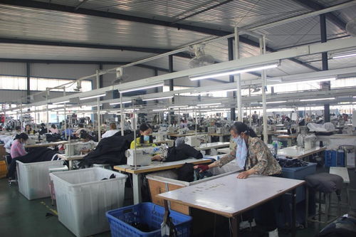 潛江積玉口鎮優化營商環境 助推就業富民——以服飾產業升級為例